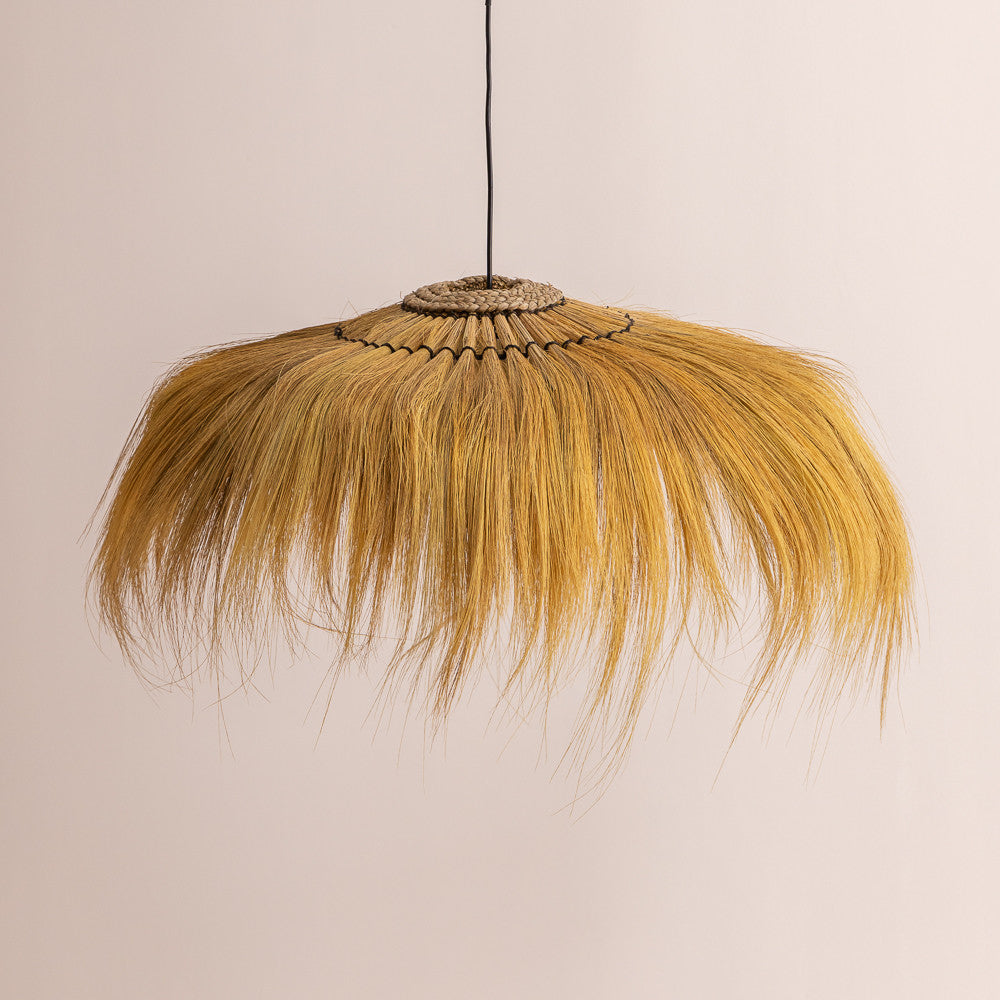 Suspension Rayung en herbier marin