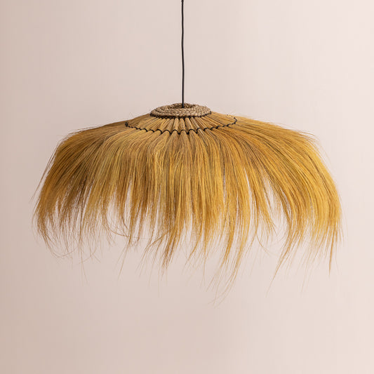 Suspension Rayung en herbier marin