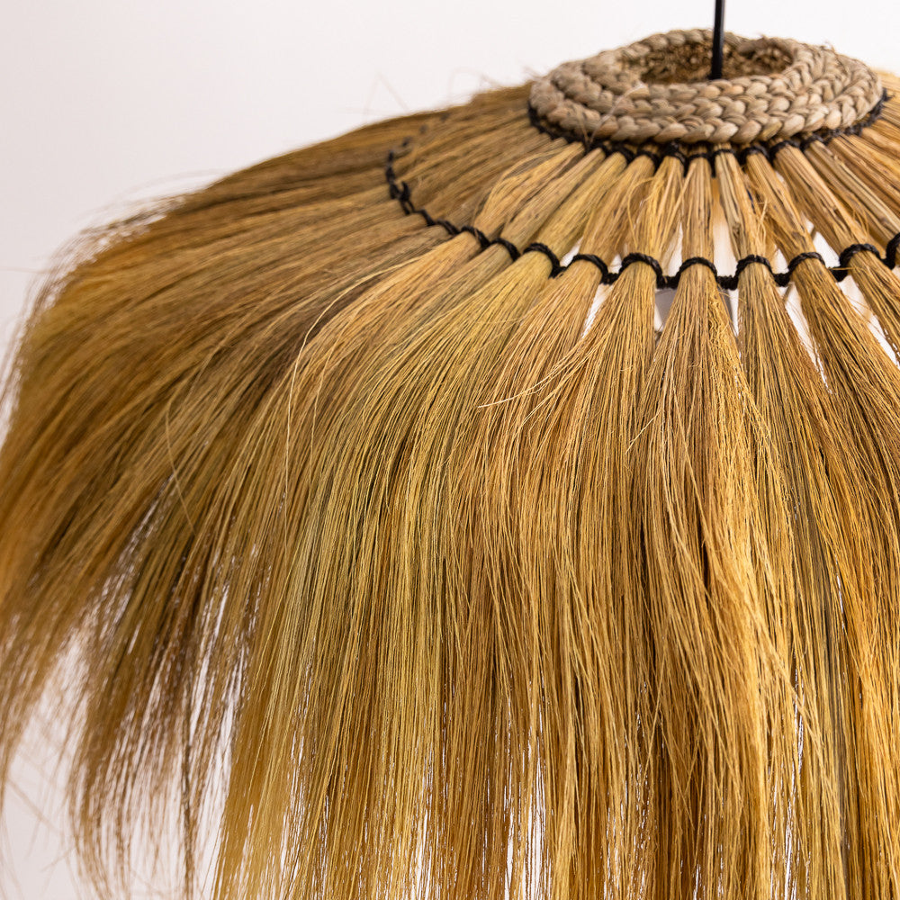 Suspension Rayung en herbier marin